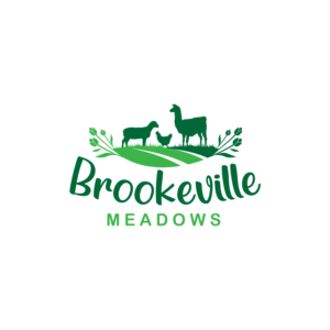 Design de Logo par Dream Logo Design pour ce projet | Design : #27396081