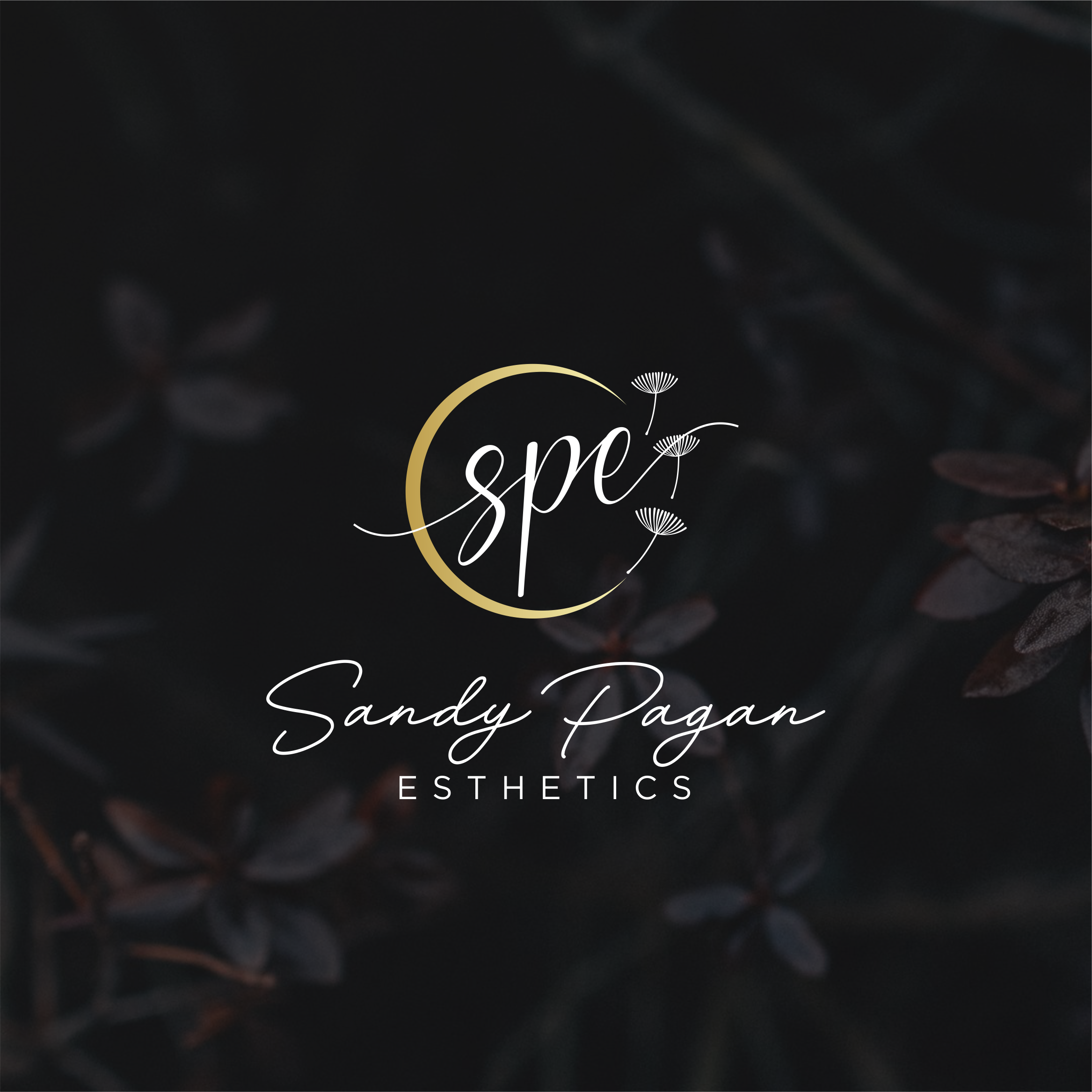 Logo Design by achil78 for this project | Design #27398984