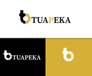 Logo Design by Designius Team