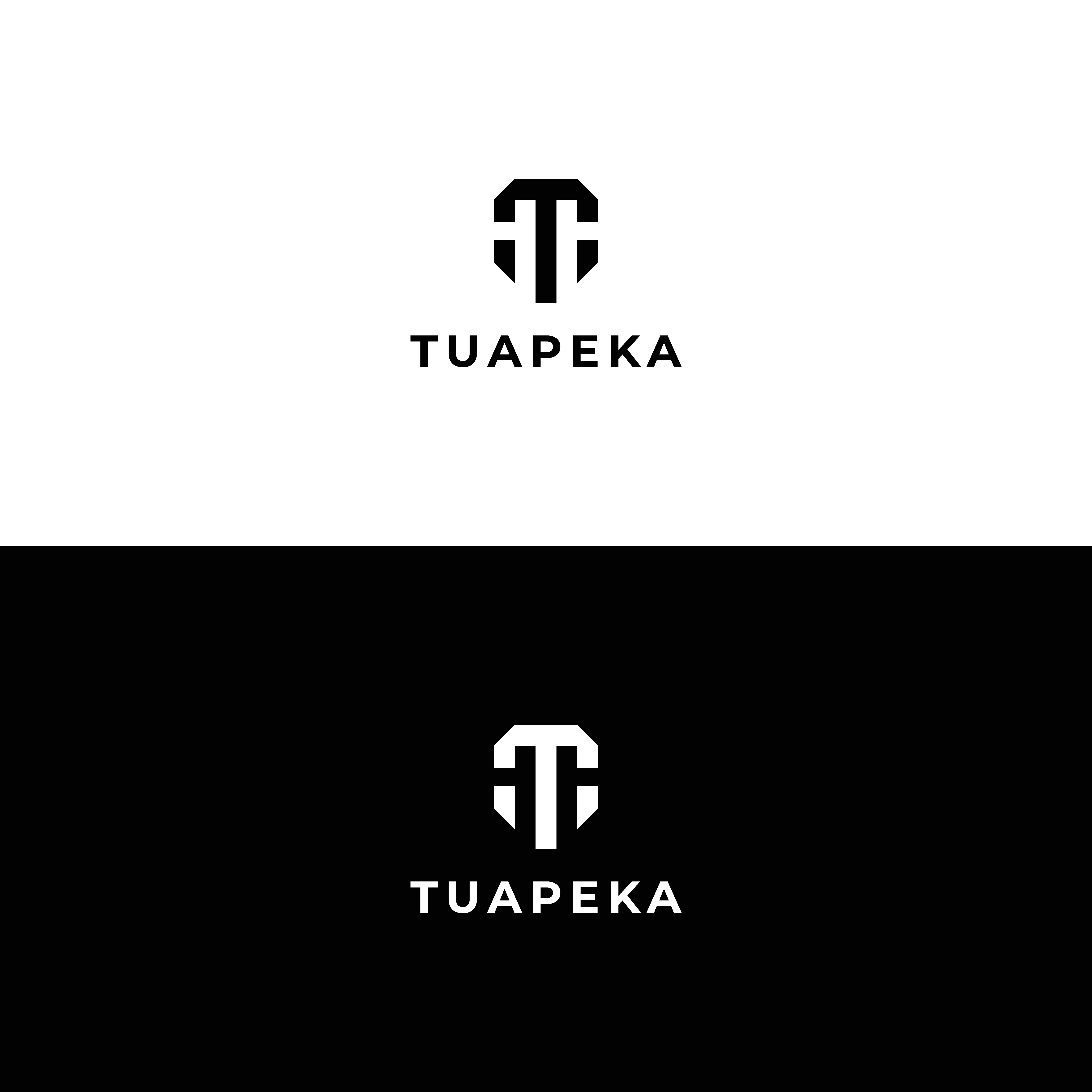 Logo Design by ArtZenium for this project | Design #27400506