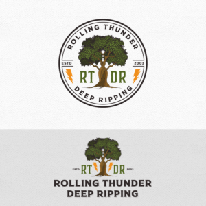Logo Design by 99ideally
