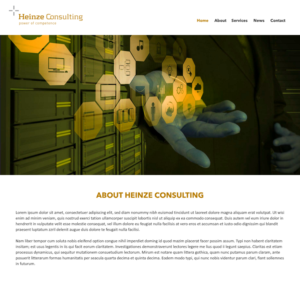 IT Management and Consulting company wants a design | Web Design by -Marc-