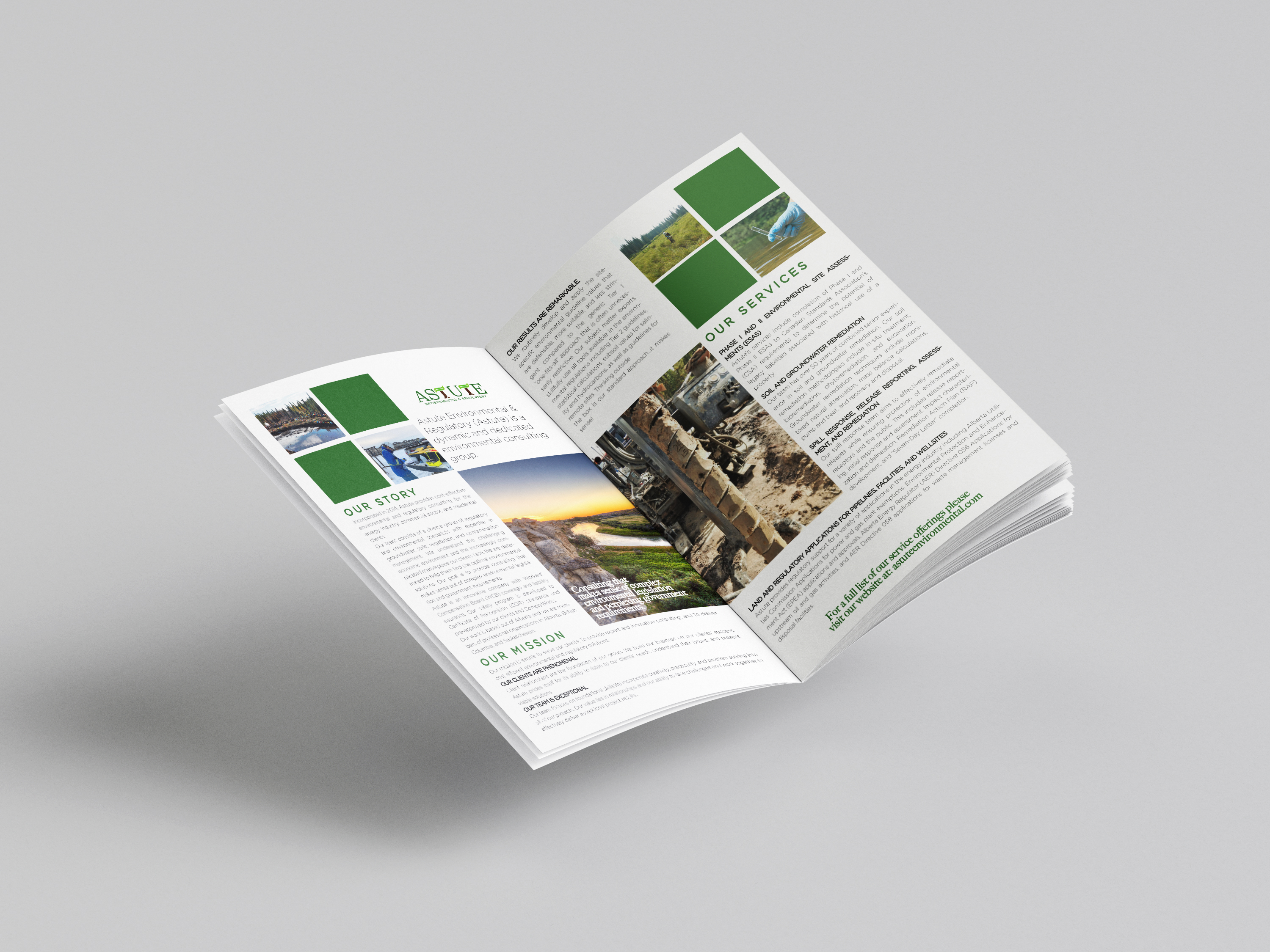 Brochure Design by hema dhawan for this project | Design #27412922