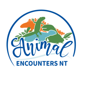 Diseño de Logo por vigie para este proyecto | Diseño: #27427013