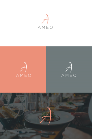 Ameo | Logo Design by orphee