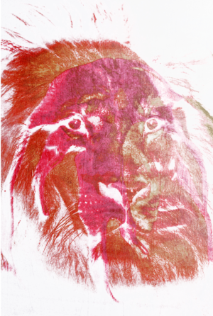 Art Design by AnninWonderland for Turnus Film AG | Design: #27429222