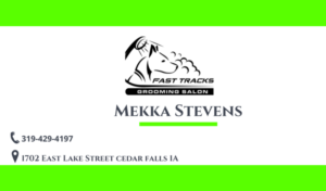 Business Card Design by Graphical Era