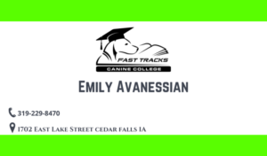 Business Card Design by Graphical Era for this project | Design: #27426939
