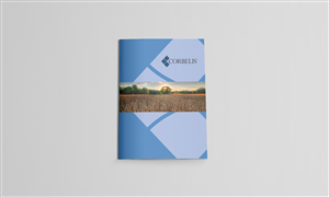 Brochure Design by dkthedon for this project | Design: #3105851