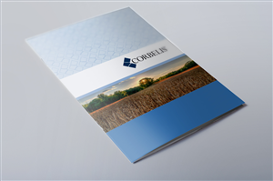 Brochure Design by dkthedon for this project | Design: #3105900