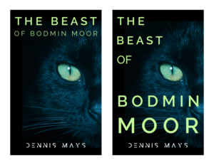 Book Cover Design by AnninWonderland for this project | Design: #27421679