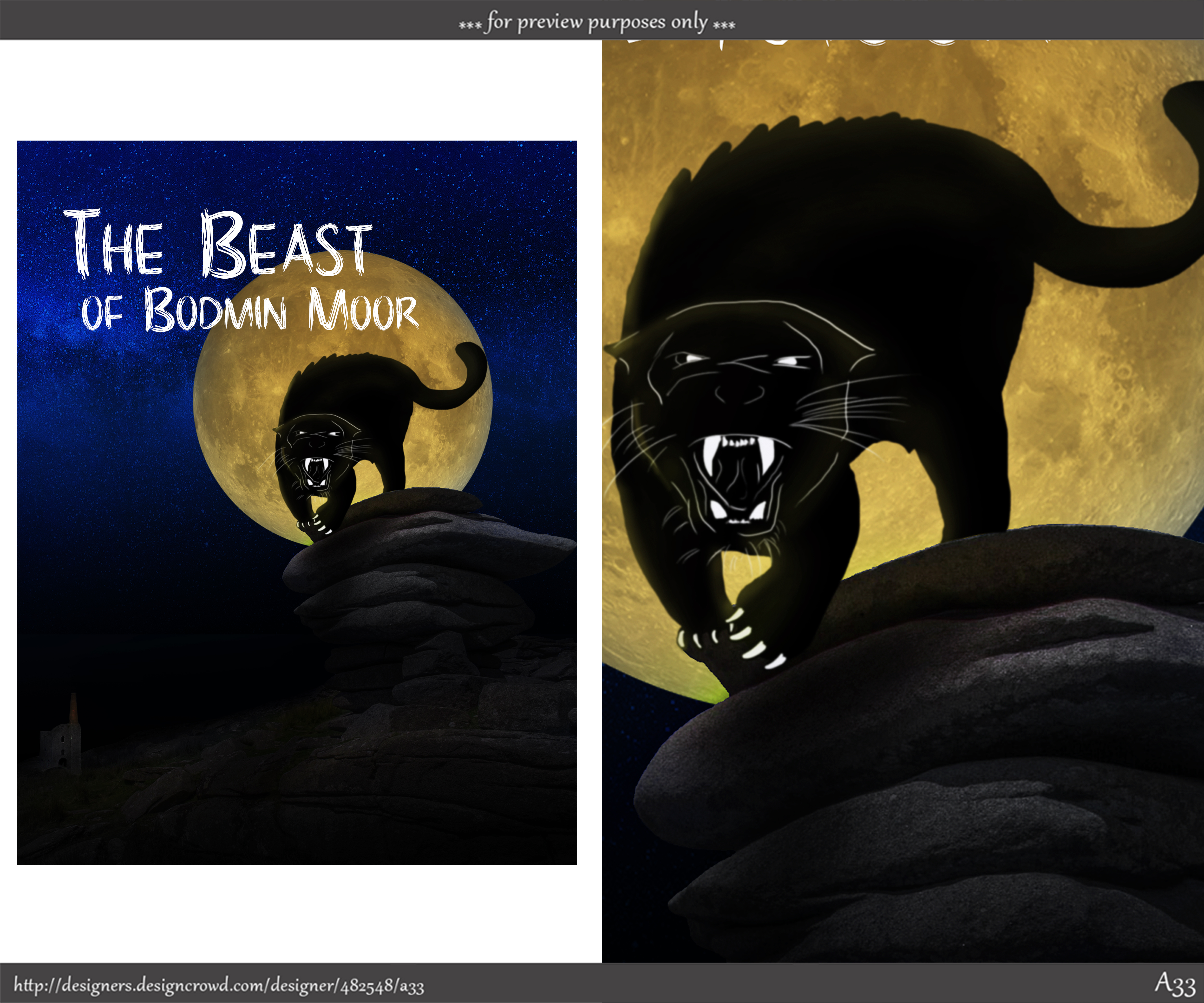 Book Cover Design by A33 for this project | Design: #27492655