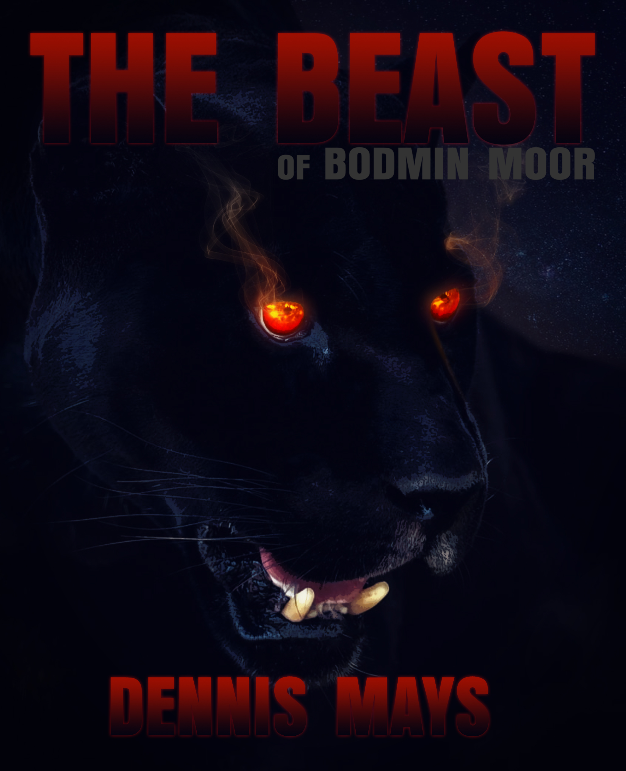 Book Cover Design by Nordic Designer for this project | Design #27435241