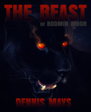 Book Cover Design by Nordic Designer for this project | Design: #27435241