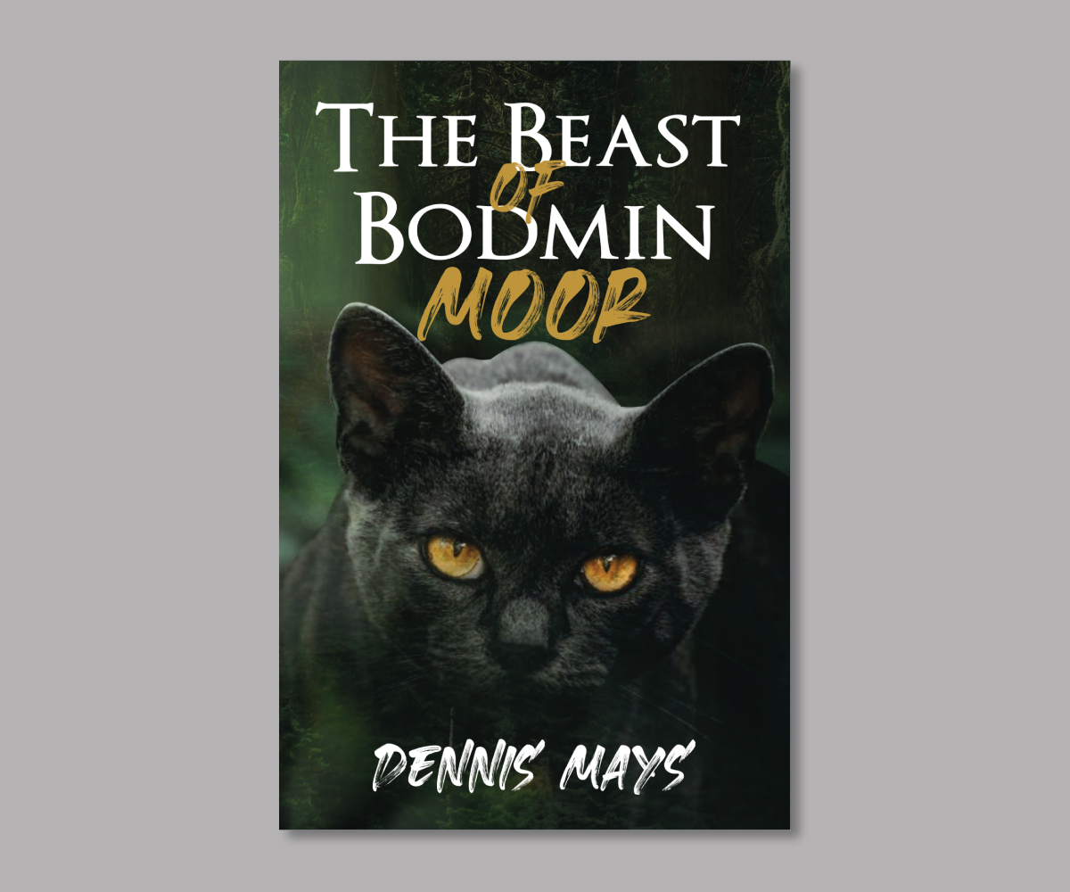 Book Cover Design by ecorokerz for this project | Design #27458674