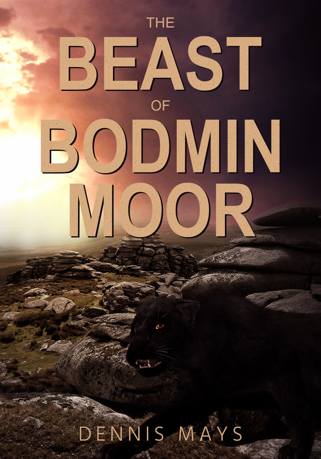 Book Cover Design by sormaz.tanja for this project | Design #27415846