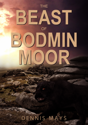 Design de Couverture de Livre par sormaz.tanja pour ce projet | Design : #27415846