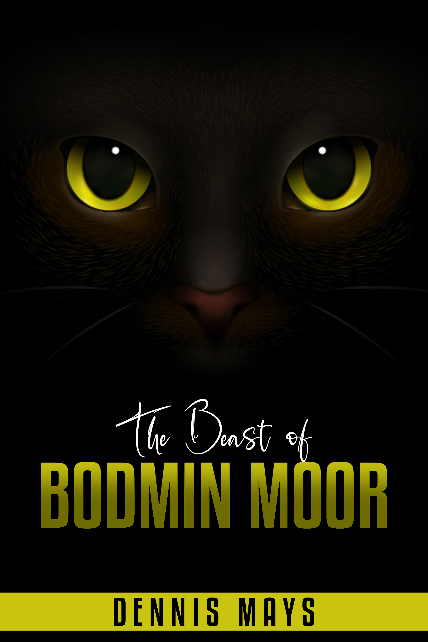 Book Cover Design by designersaumya 2 for this project | Design #27447102