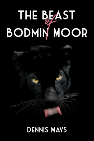 Book Cover Design by DesignART for this project | Design: #27415990