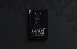 Book Cover Design by Shumaila Kiran for this project | Design: #27424308