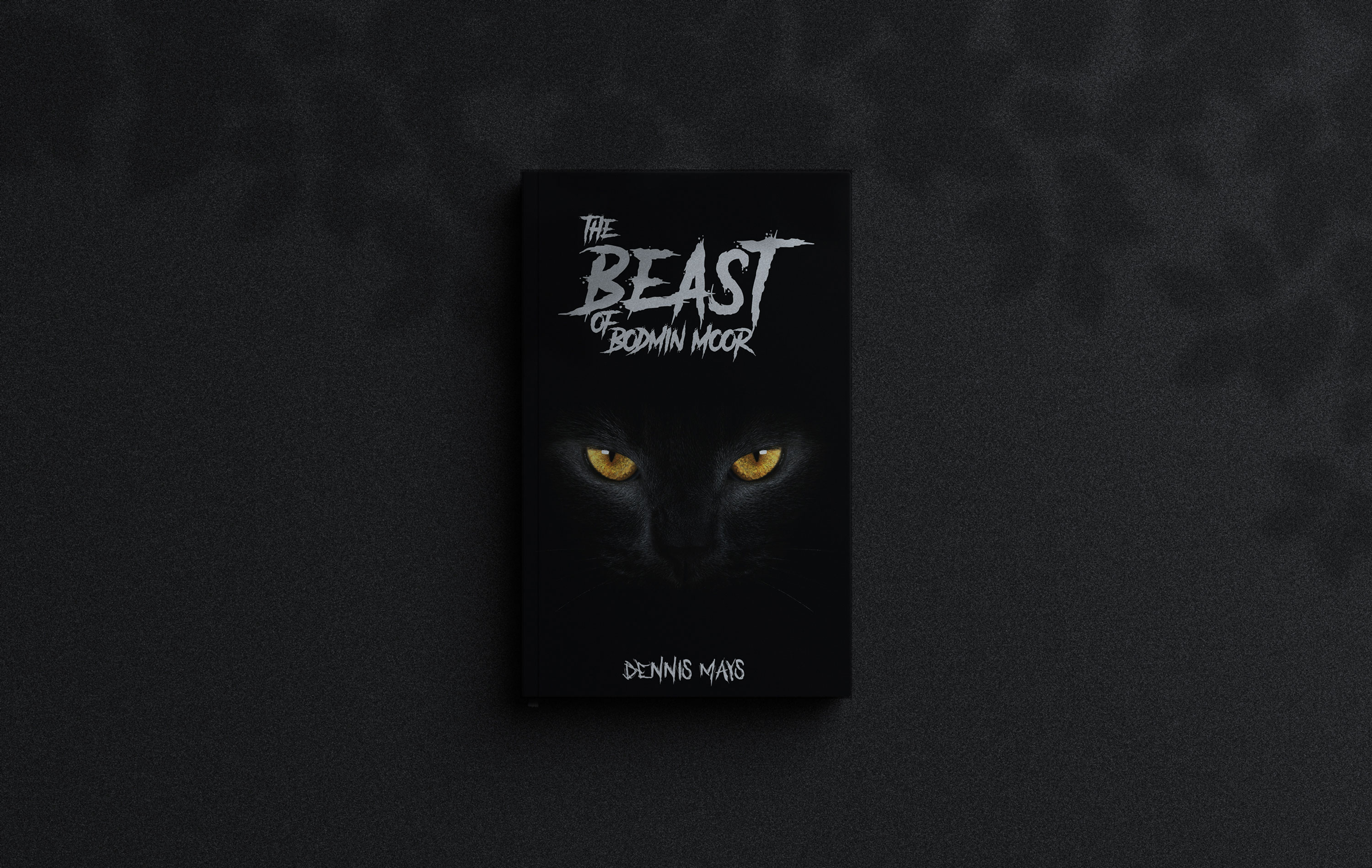 Book Cover Design by Shumaila Kiran for this project | Design #27424309