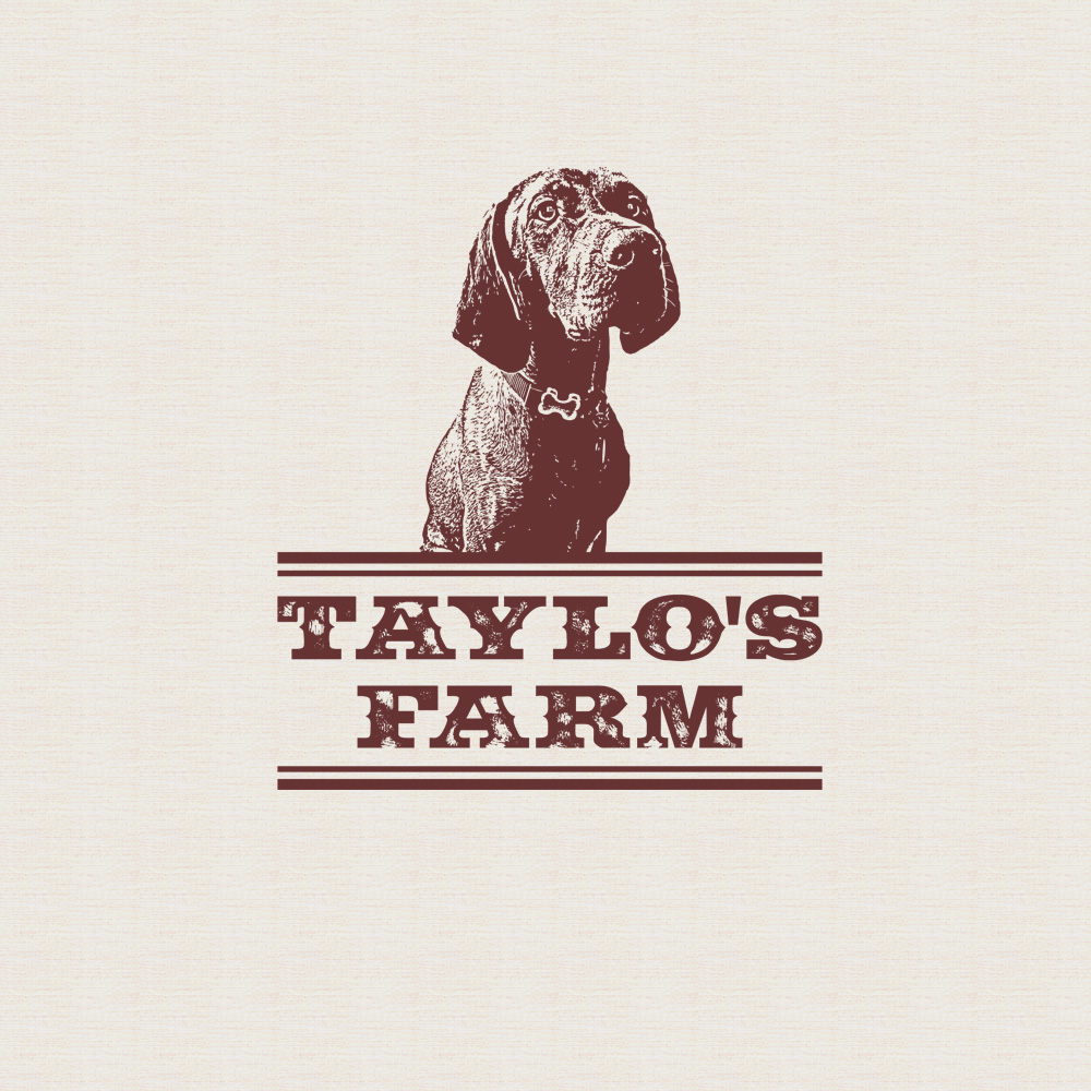 Logo-Design von FDesignIndonesia für dieses Projekt | Design #27417081