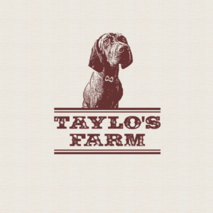 Logo-Design von FDesignIndonesia für dieses Projekt | Design: #27417081