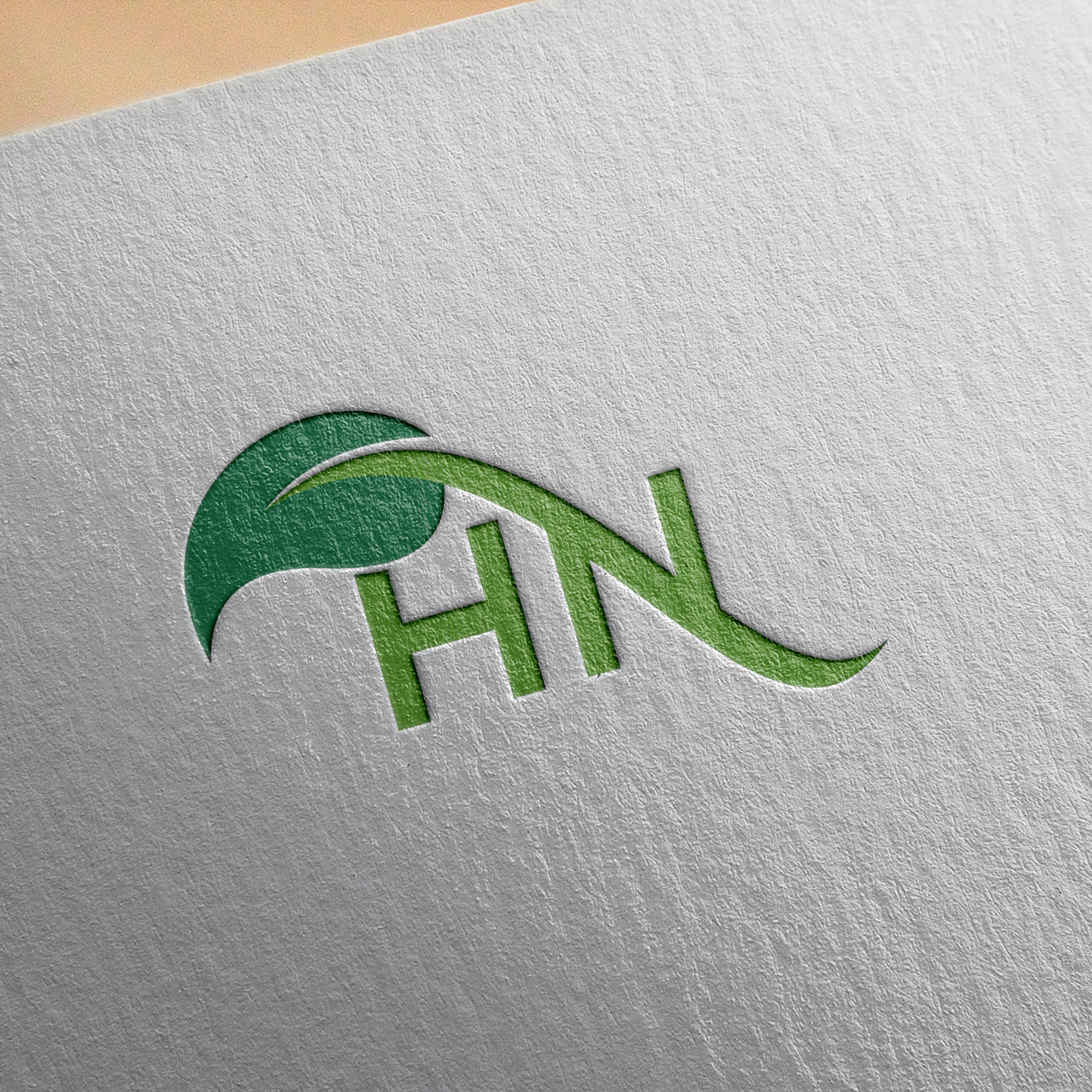 Design de Logo par ERLANDO RONTE RDJ pour MoreNiche Limited | Design #27416558