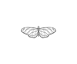 Longwings | Logo Design by Meraki*