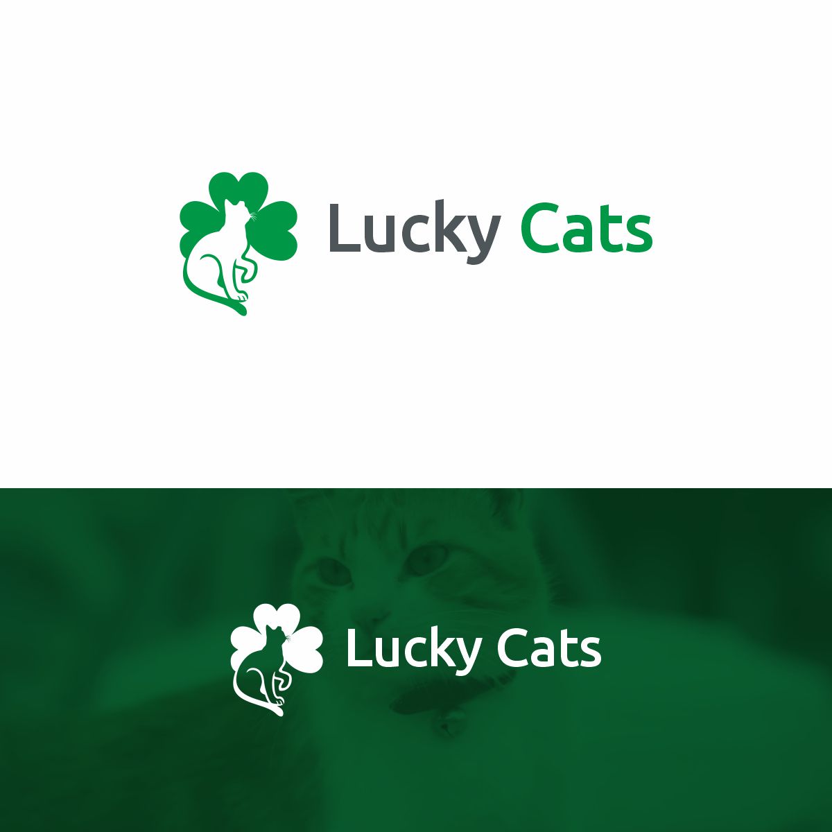 Logo Design by Ashani Bhattacharya for this project | Design #27446912