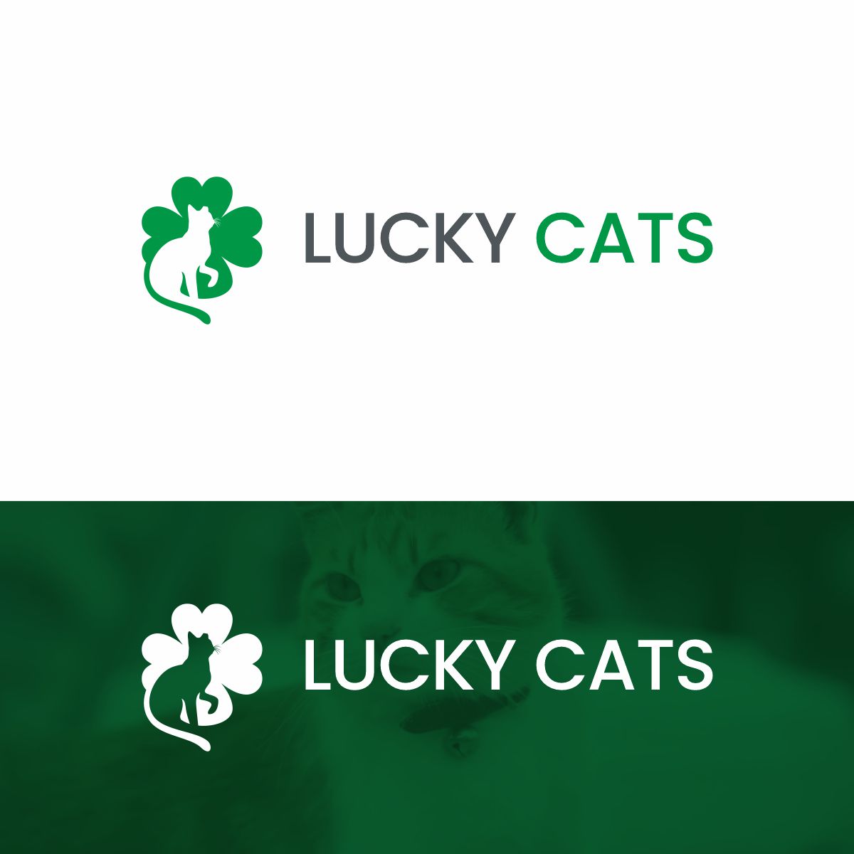 Logo Design by Ashani Bhattacharya for this project | Design #27446914