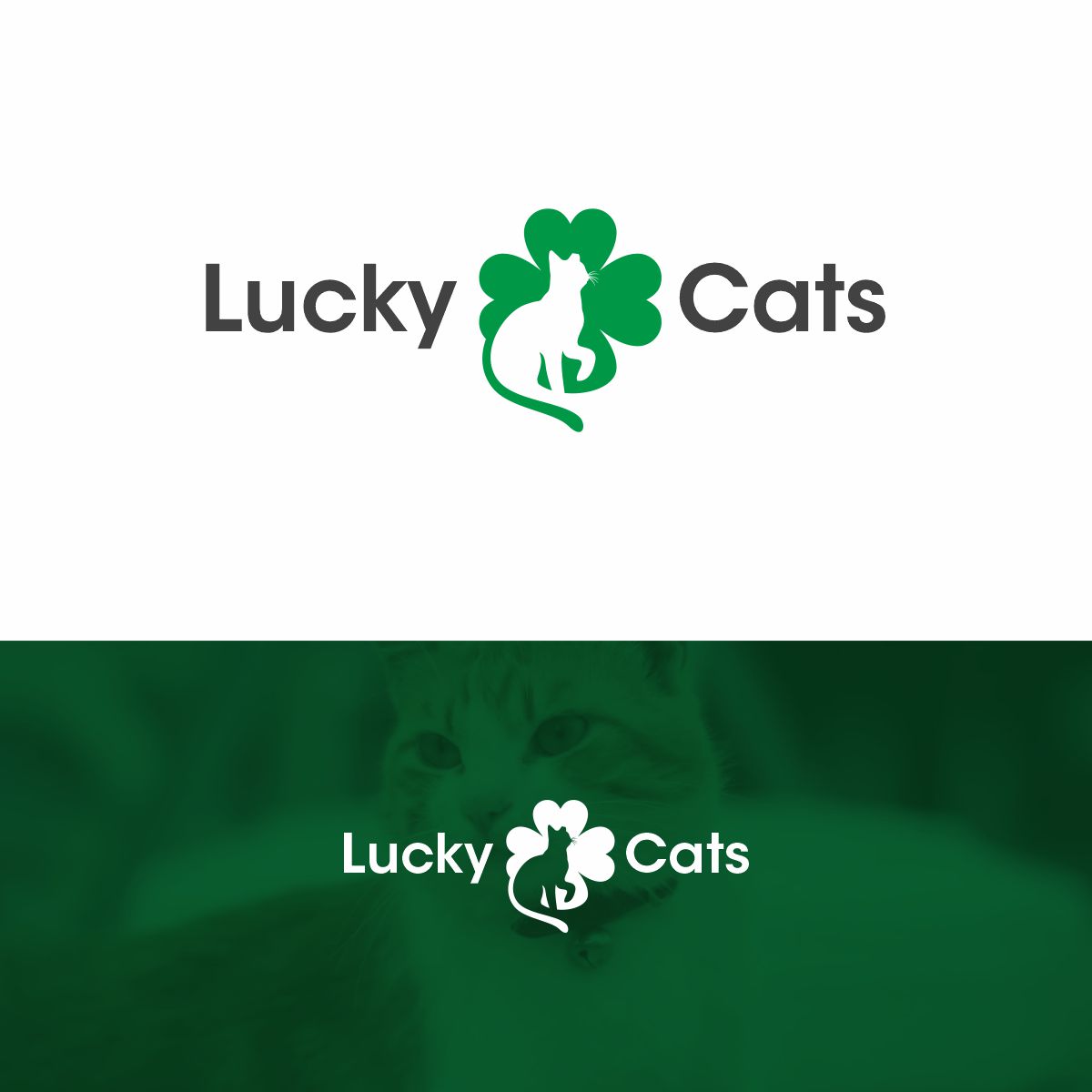 Logo Design by Ashani Bhattacharya for this project | Design #27446965