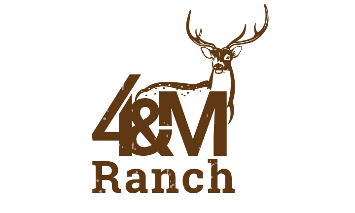 Logo Design by logoQ for this project | Design #27435438