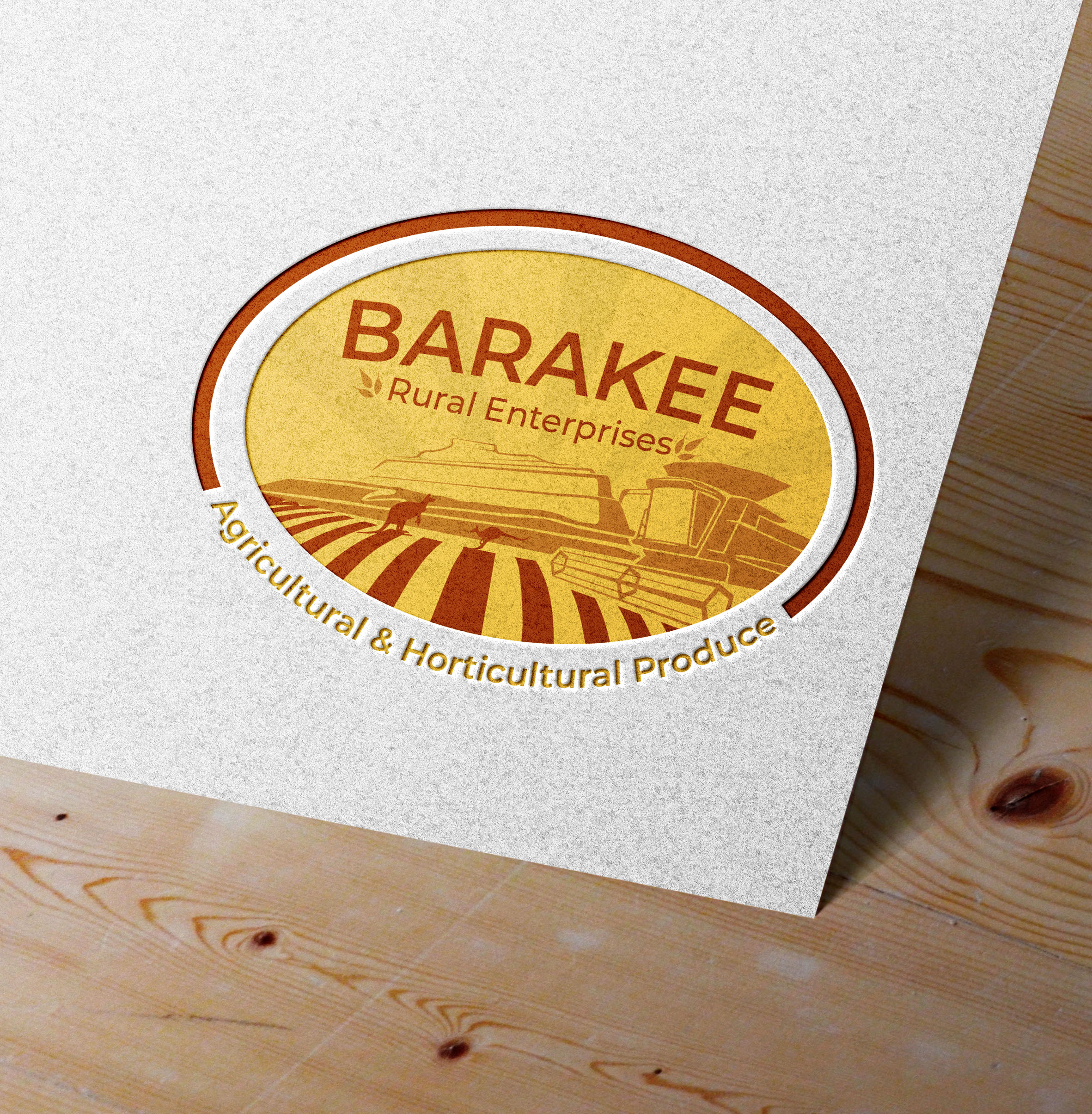 Logo Design by Aaaron for Australian Flight Examiners Pty Ltd | Design #27460847