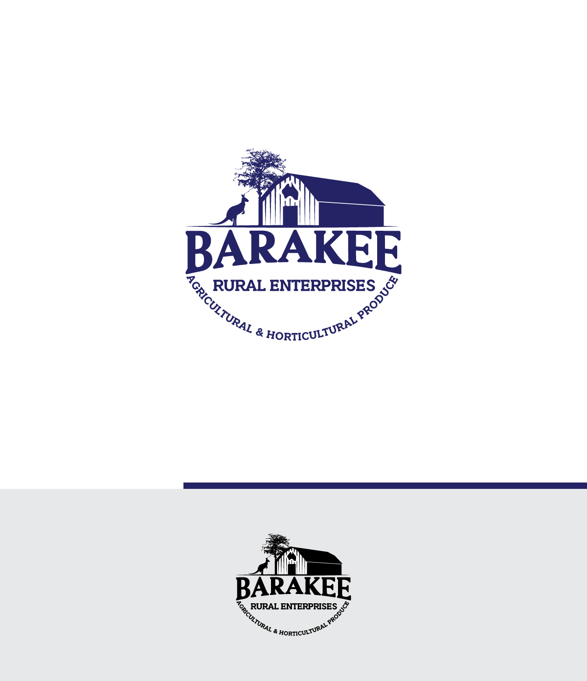 Logo Design by ecorokerz for Australian Flight Examiners Pty Ltd | Design #27428177