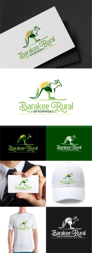 Logo Design by fly  design for Australian Flight Examiners Pty Ltd | Design: #27430304