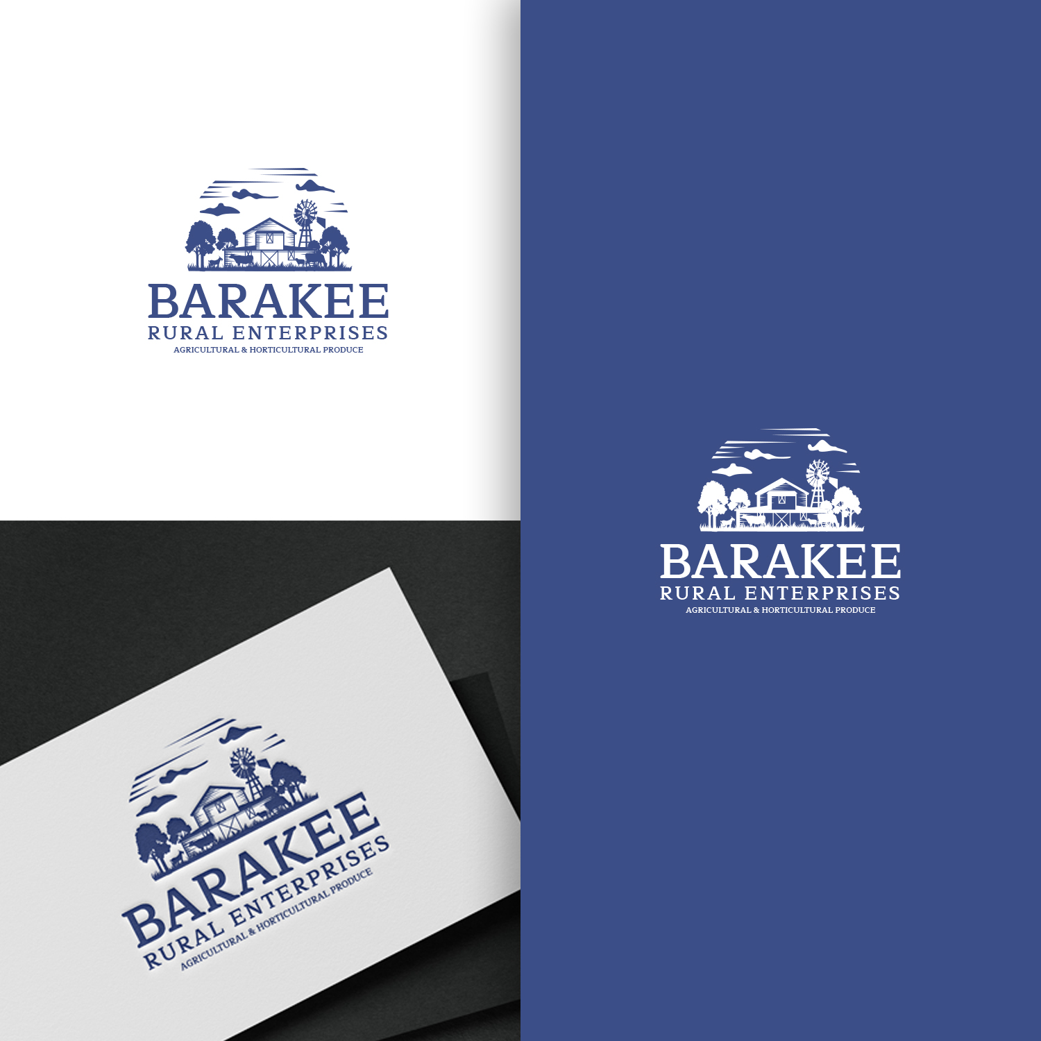 Logo Design by NZ Creatives for Australian Flight Examiners Pty Ltd | Design #27441165