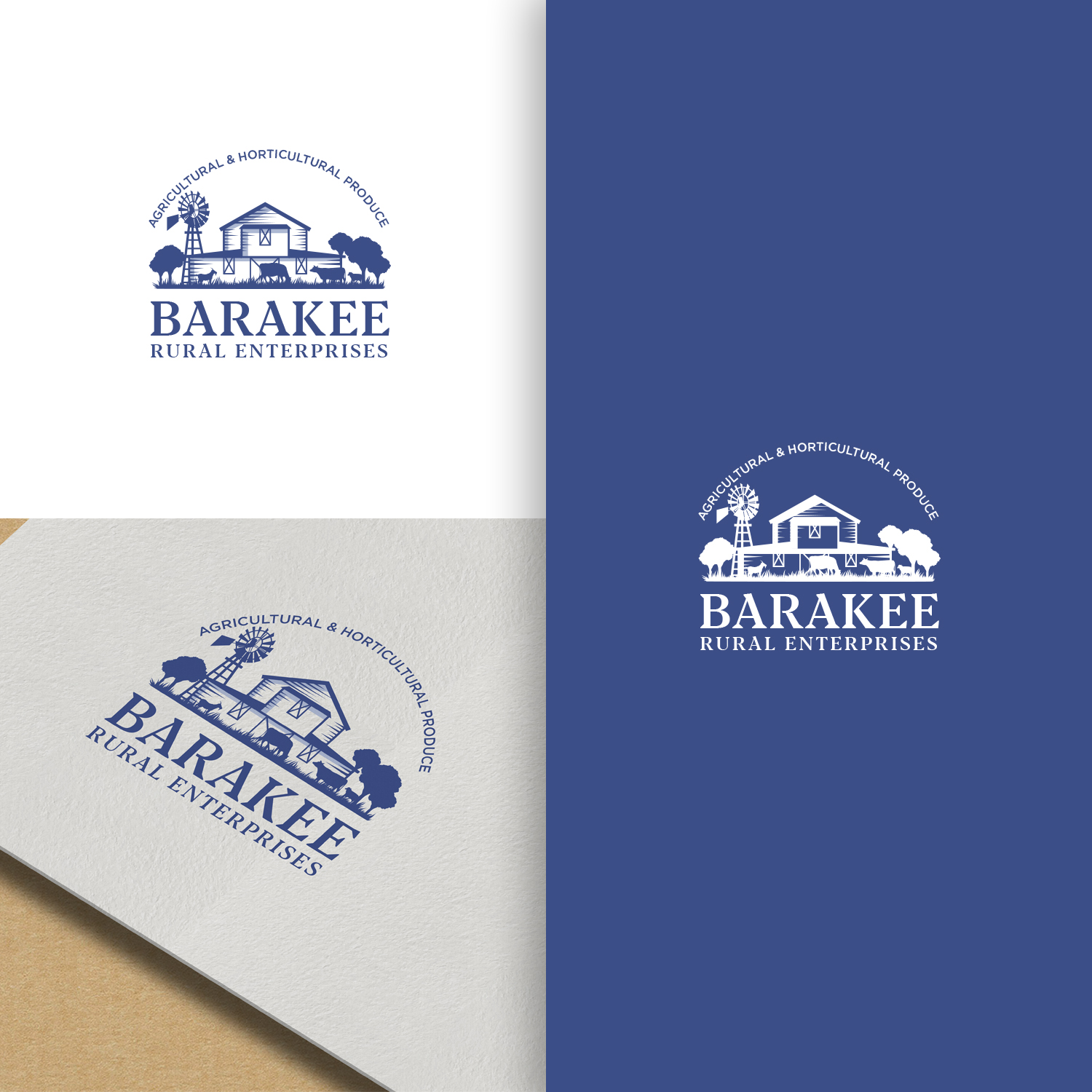 Logo Design by NZ Creatives for Australian Flight Examiners Pty Ltd | Design #27441167