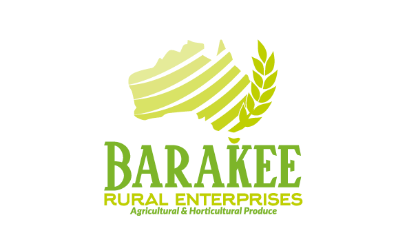 Logo Design by patriciaparadesign for Australian Flight Examiners Pty Ltd | Design #27464367