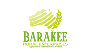 Logo Design by patriciaparadesign for Australian Flight Examiners Pty Ltd | Design: #27464367