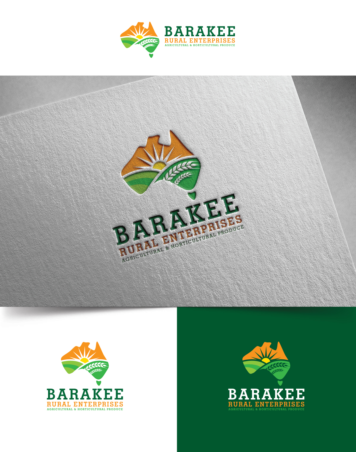Logo Design by creativepix for Australian Flight Examiners Pty Ltd | Design #27428151