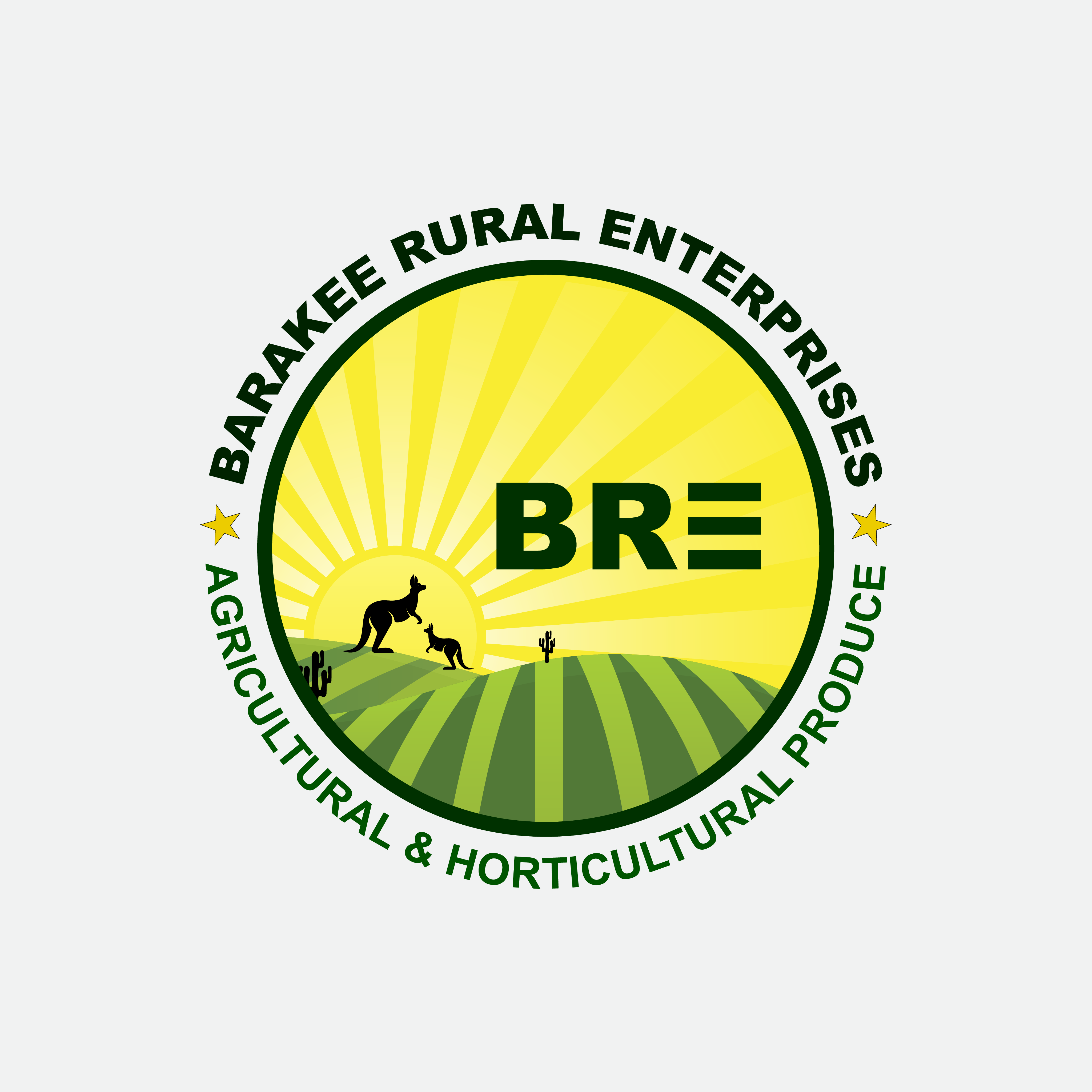 Logo Design by MBM Design for Australian Flight Examiners Pty Ltd | Design #27465486