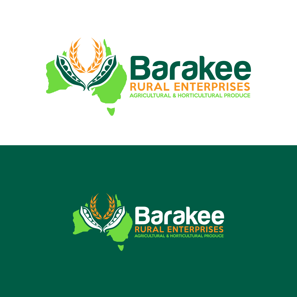 Logo Design by Bong_organic_design for Australian Flight Examiners Pty Ltd | Design #27428314