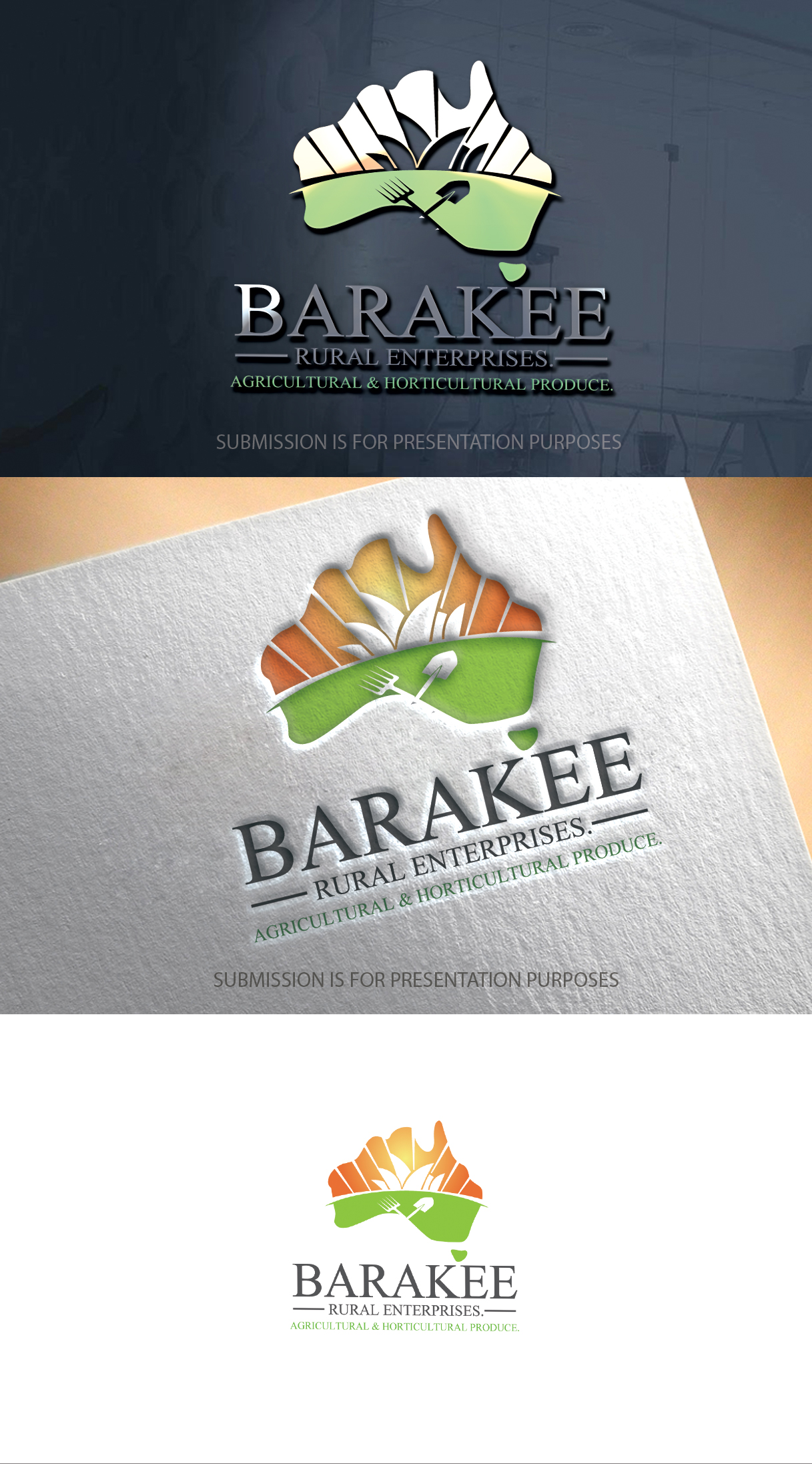 Logo Design by graphicevolution for Australian Flight Examiners Pty Ltd | Design #27429013