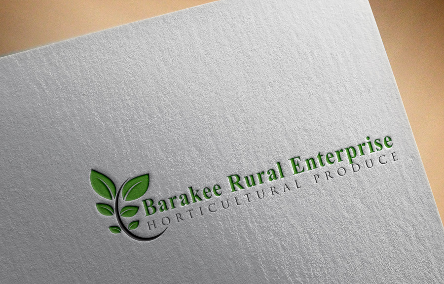 Logo Design by MH@Designer for Australian Flight Examiners Pty Ltd | Design #27430148