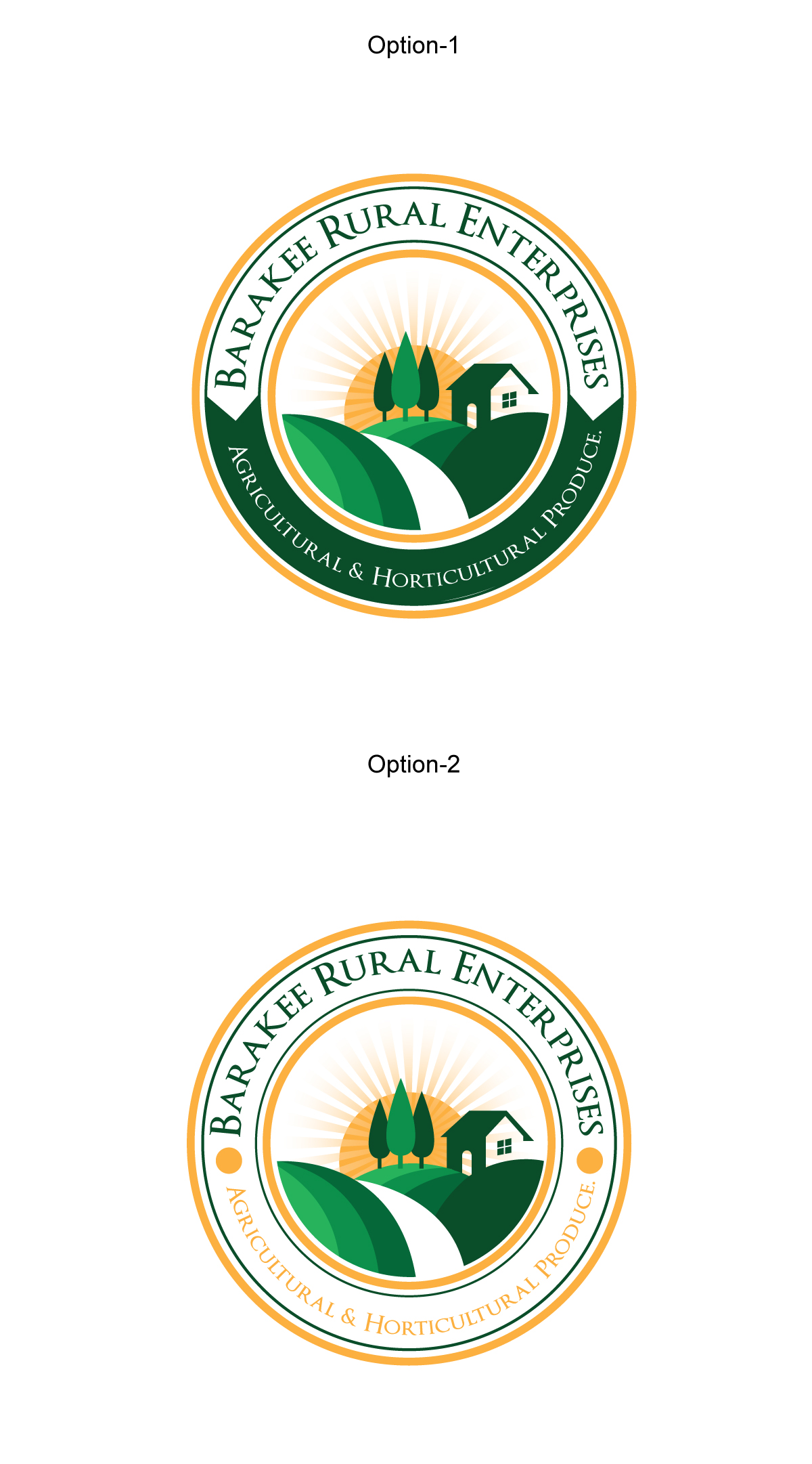 Logo Design by HEAVEN ART for Australian Flight Examiners Pty Ltd | Design #27432109