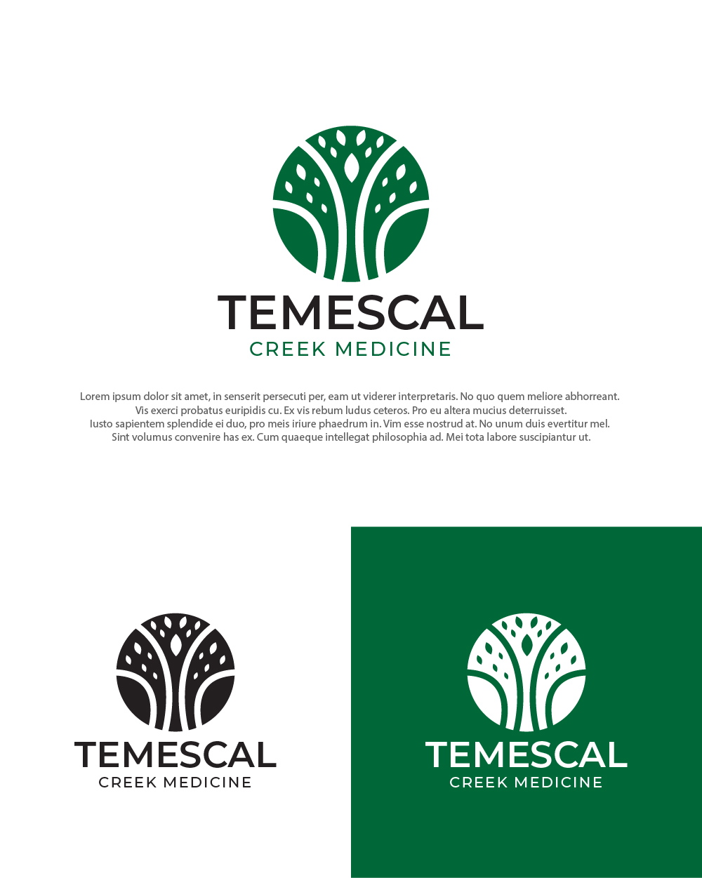Diseño de Logo por farady para este proyecto | Diseño #27430601