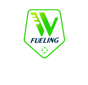 Logo Design by Enz67