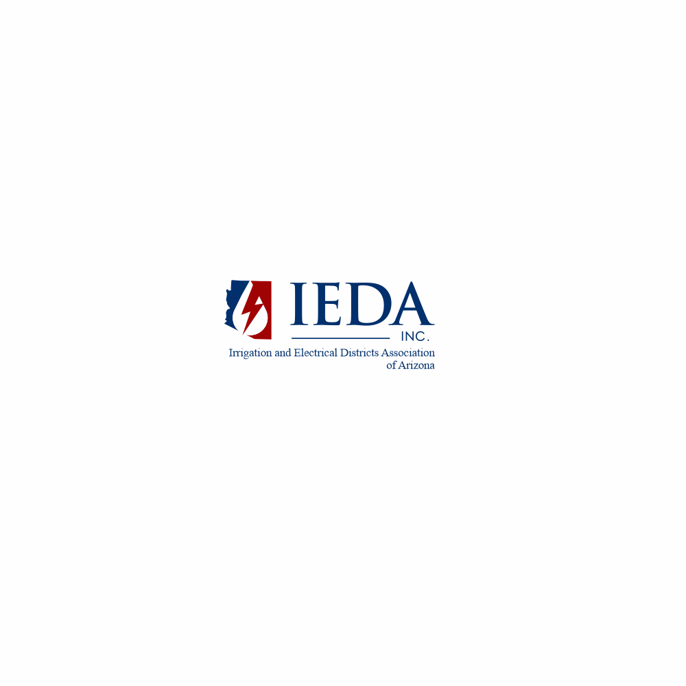 Logo Design by ciolena for IEDA, Inc. | Design #27454461