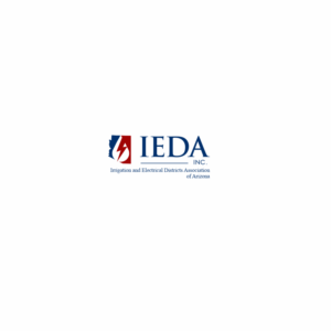 IEDA or IEDA, Inc. | Logo Design by ciolena